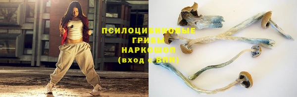 синтетический гашиш Дегтярск