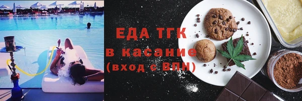 индика Дедовск
