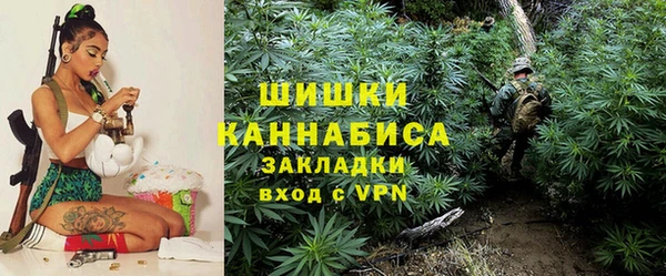 a pvp Алзамай