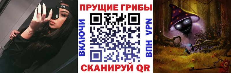 купить закладку  mega онион  Галлюциногенные грибы Psilocybe  Камбарка 