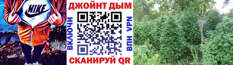 Каннабис MAZAR  Камбарка 